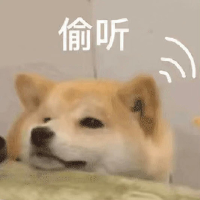 玩法与特色:脸部体操与特效滤镜插图