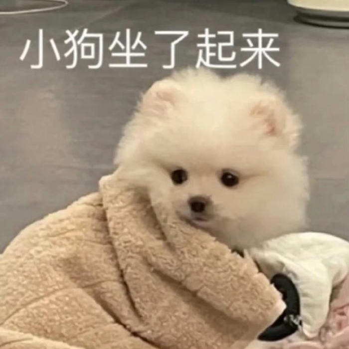 衍生玩法与相关内容插图
